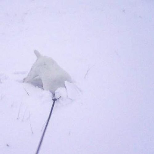 Farewell To Winter